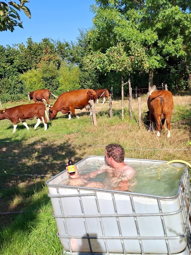 IBC buitenbad maken met warm weer  Ik heb IBC  beschikbaar, Tuin en Terras, Ophalen, Minder dan 80 cm, Opzetzwembad, Rechthoekig