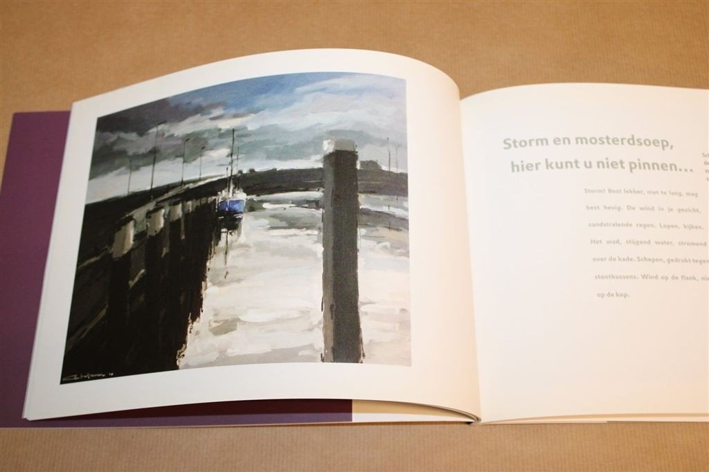 Onder Duizend Kleuren Grijs —Schilderijen Hogeland Groningen, Boeken, Ophalen of Verzenden, Zo goed als nieuw