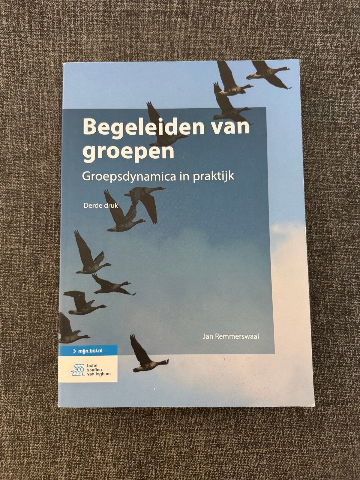 Begeleiden van groepen - Groepsdynamica in praktijk, Ophalen of Verzenden, Gamma, Zo goed als nieuw, HBO