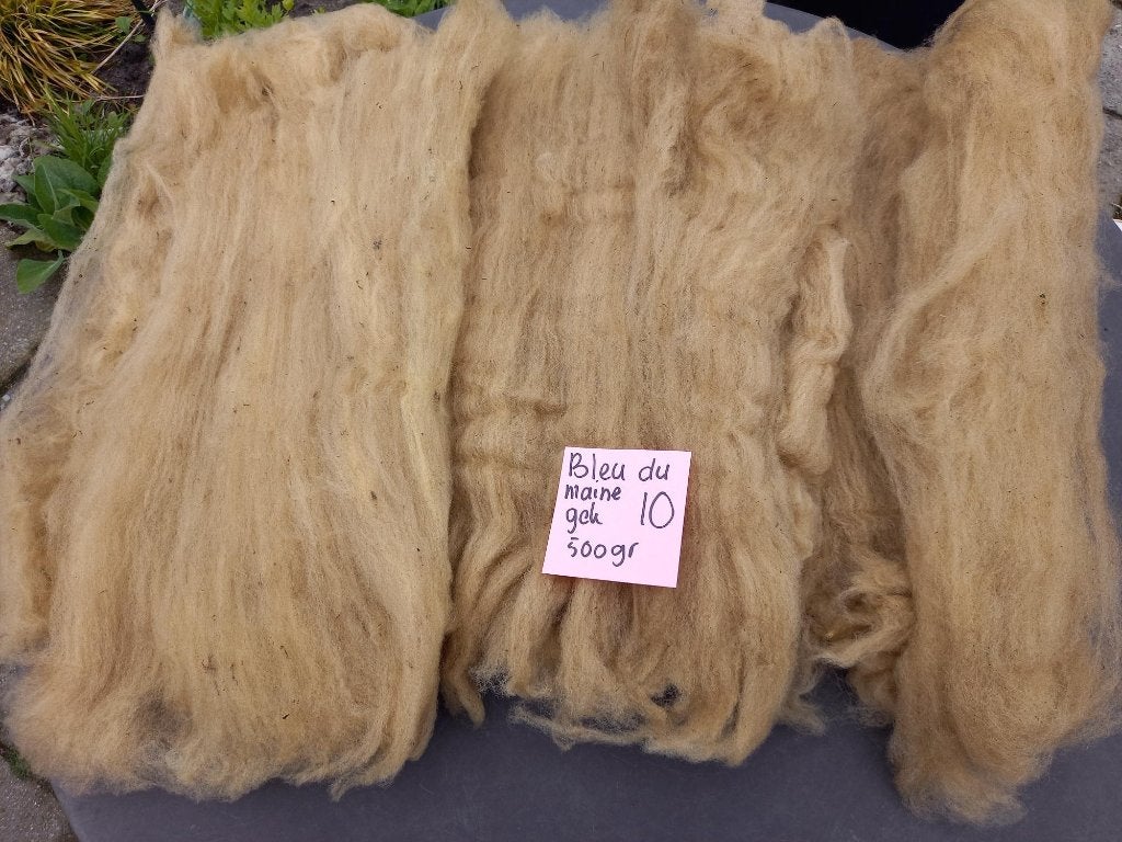 nr 10 Gekaarde ongewassen wol van Bleu du Maine schaap, Ophalen of Verzenden, Gebruikt