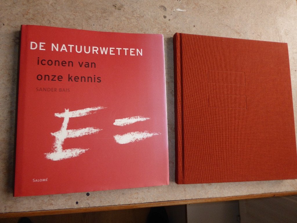 Sander Bais - De natuurwetten - Iconen van onze kennis, Gelezen, Sander Bais, Ophalen of Verzenden, Natuurwetenschap