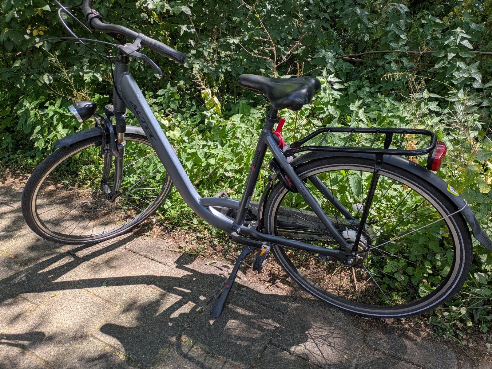 Damenfiets Women's bike, Ophalen, Overige merken