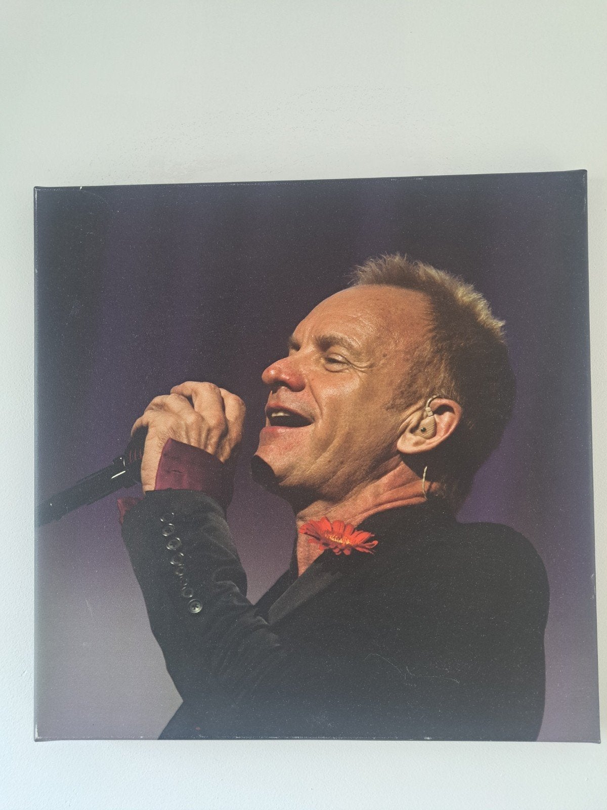 Sting op Canvas 2x, Ophalen of Verzenden