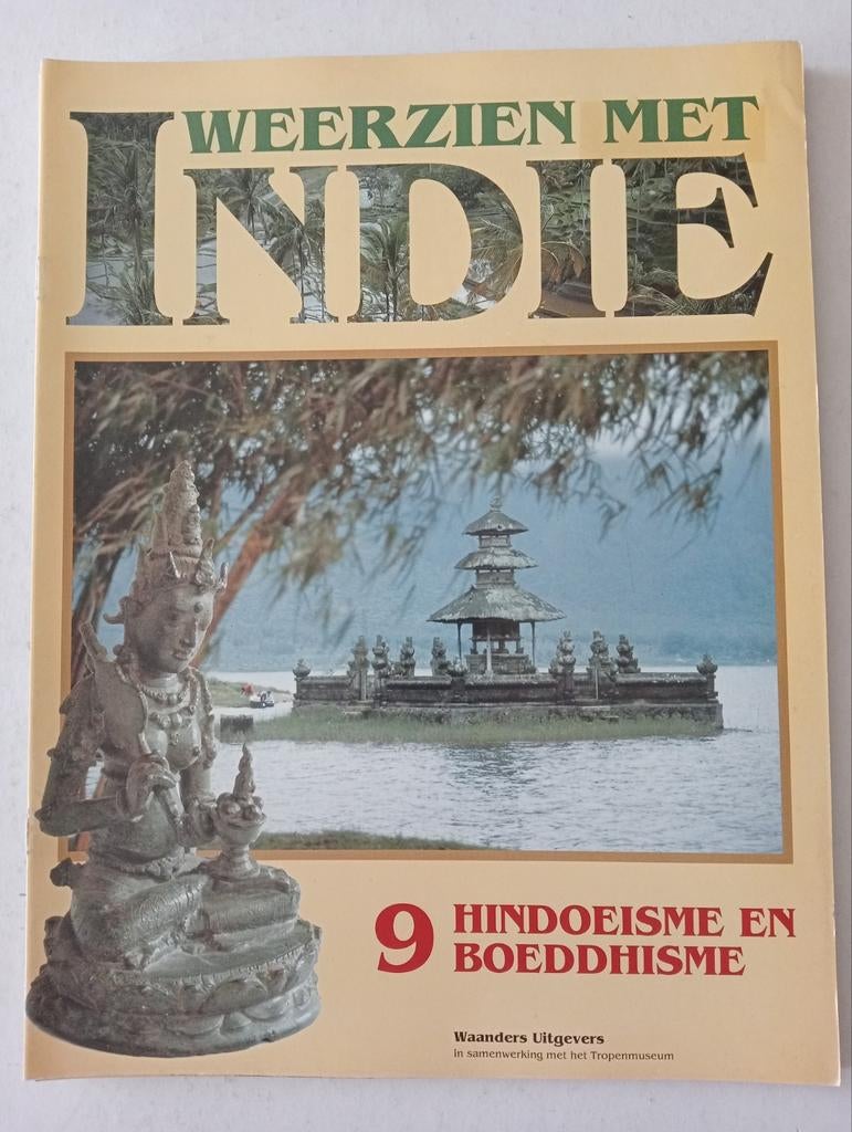 Weerzien met Indië: Hindoeïsme en Boeddhisme, Boeken, Tijdschriften en Kranten, Gelezen, Muziek, Film of Tv, Ophalen of Verzenden