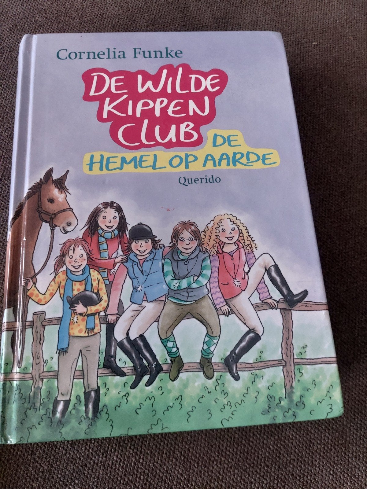 De Wilde Kippen Club - De Hemel op Aarde (Cornelia Funke), Ophalen of Verzenden