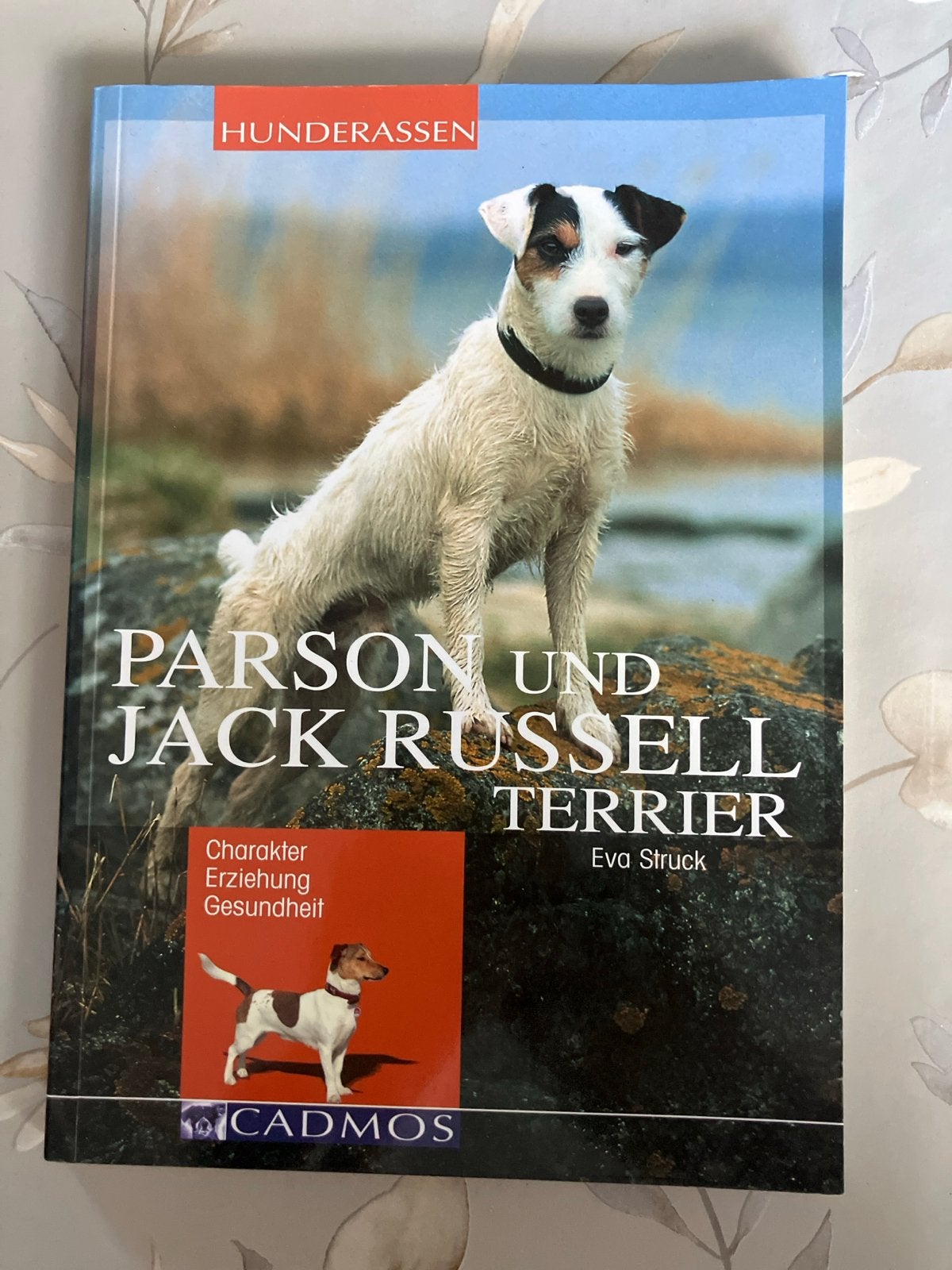 Parson en Jack Russell Terrier - Eva Struck (Duits, 2006), Ophalen, Nieuw, Honden