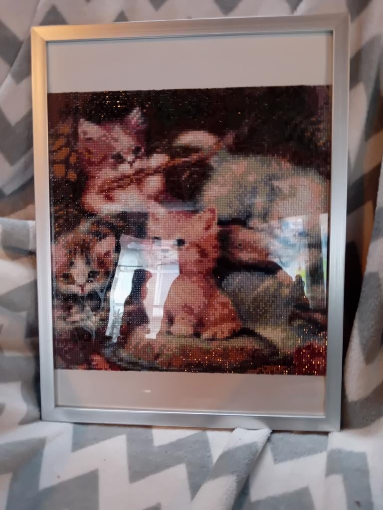 Diamond painting schilderij poesjes, Ophalen of Verzenden, Nieuw, Knutselwerk