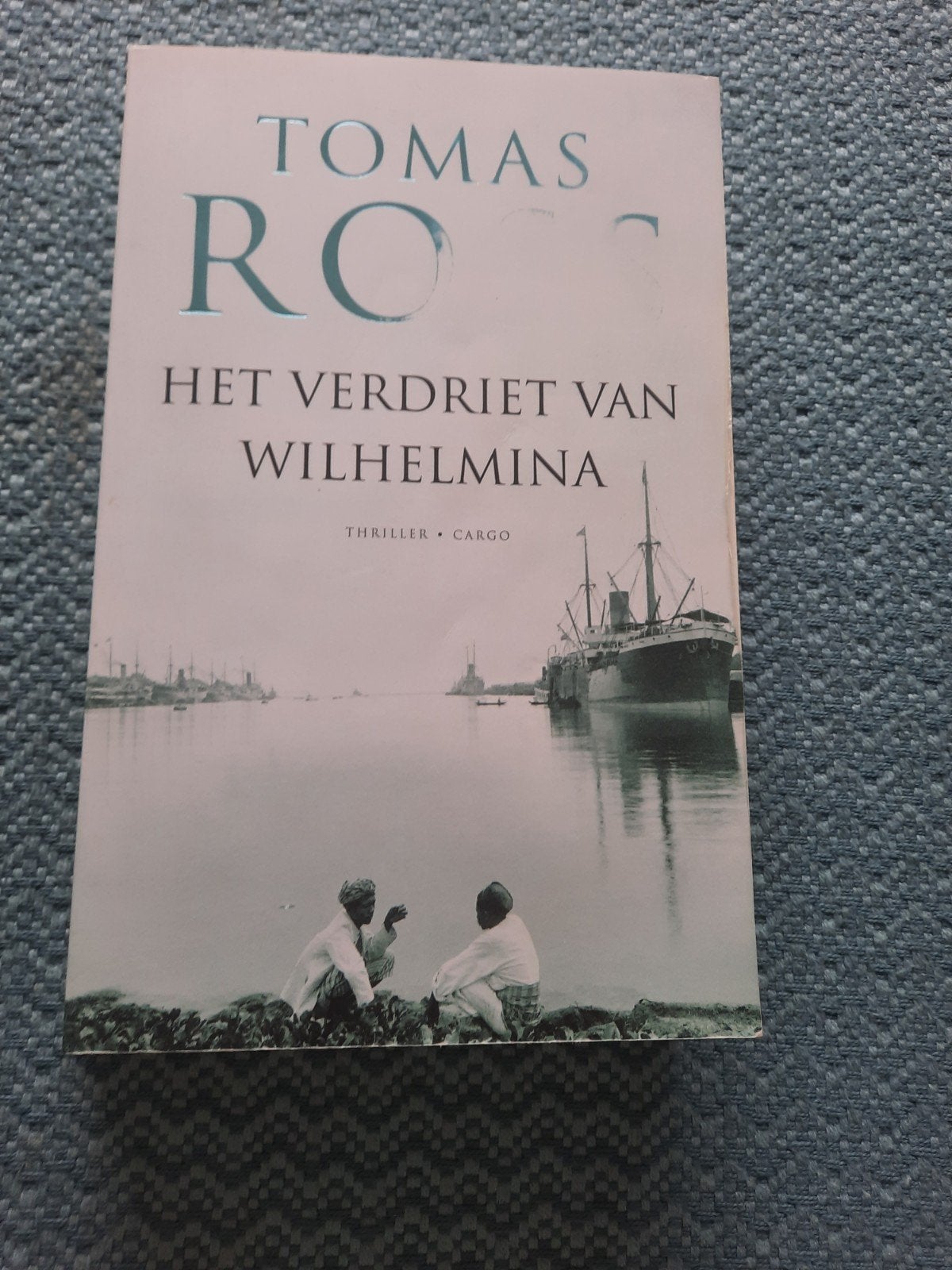 Het Verdriet van Wilhelmina - Tomas Ross (Paperback), Ophalen of Verzenden, Zo goed als nieuw, Tomas Ross