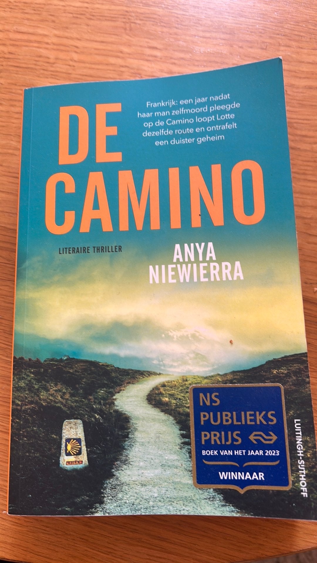 Boek De Camino, Ophalen of Verzenden, Zo goed als nieuw