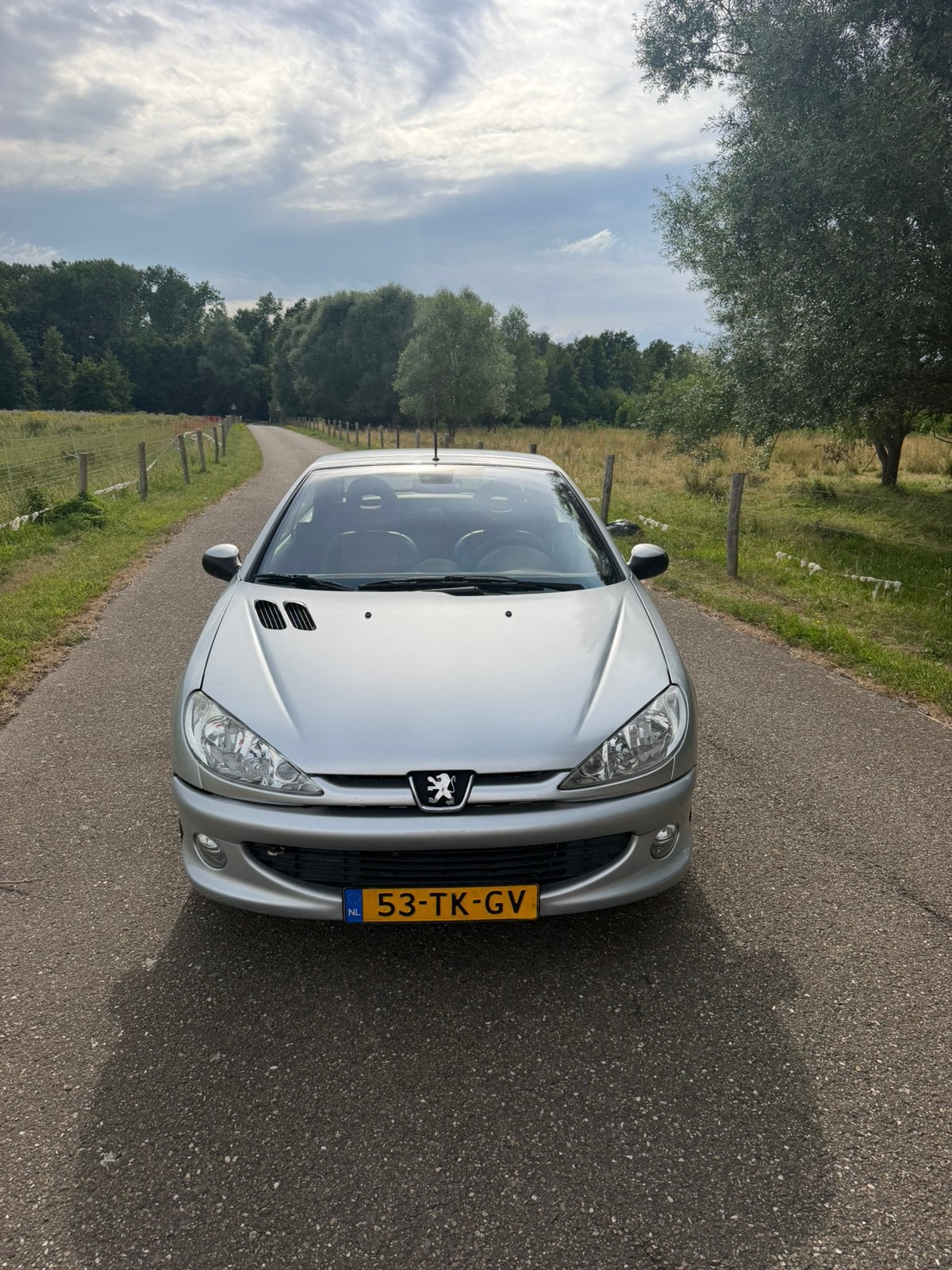 Peugeot 206 1.6 16V CC 2002 Grijs, Auto's, Peugeot, Particulier, Airconditioning, Centrale vergrendeling, Elektrische buitenspiegels
