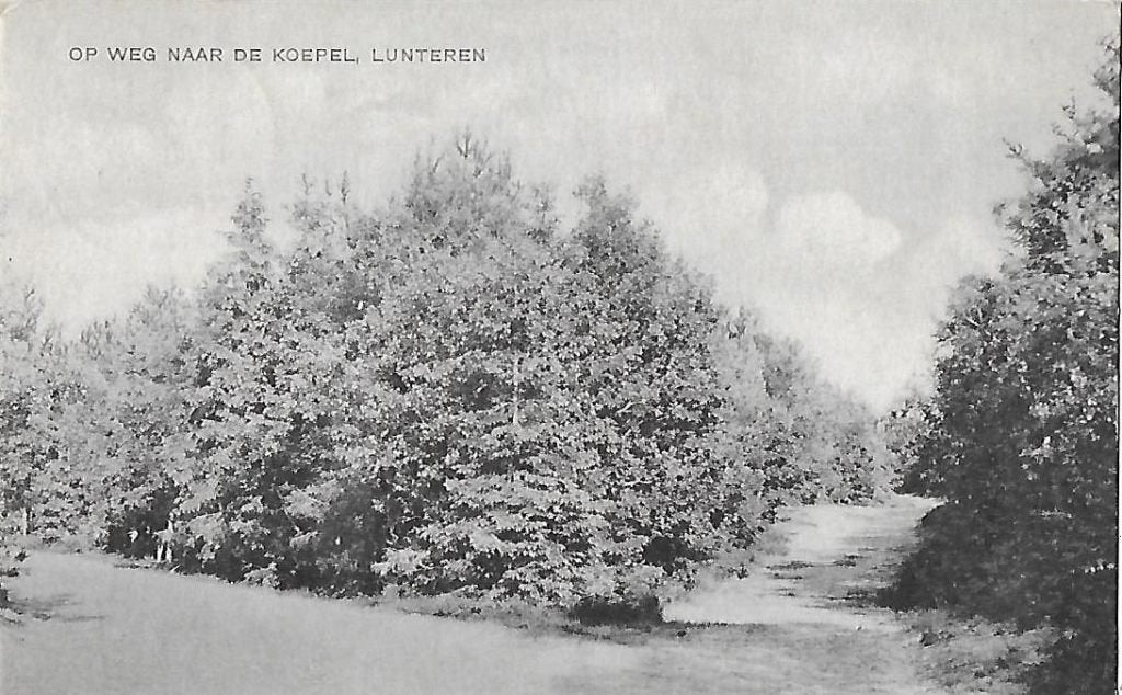 Lunteren weg naar de Koepel Oude gelopen Ansichtkaart 8159, Ophalen of Verzenden, 1960 tot 1980, Gelopen, Gelderland