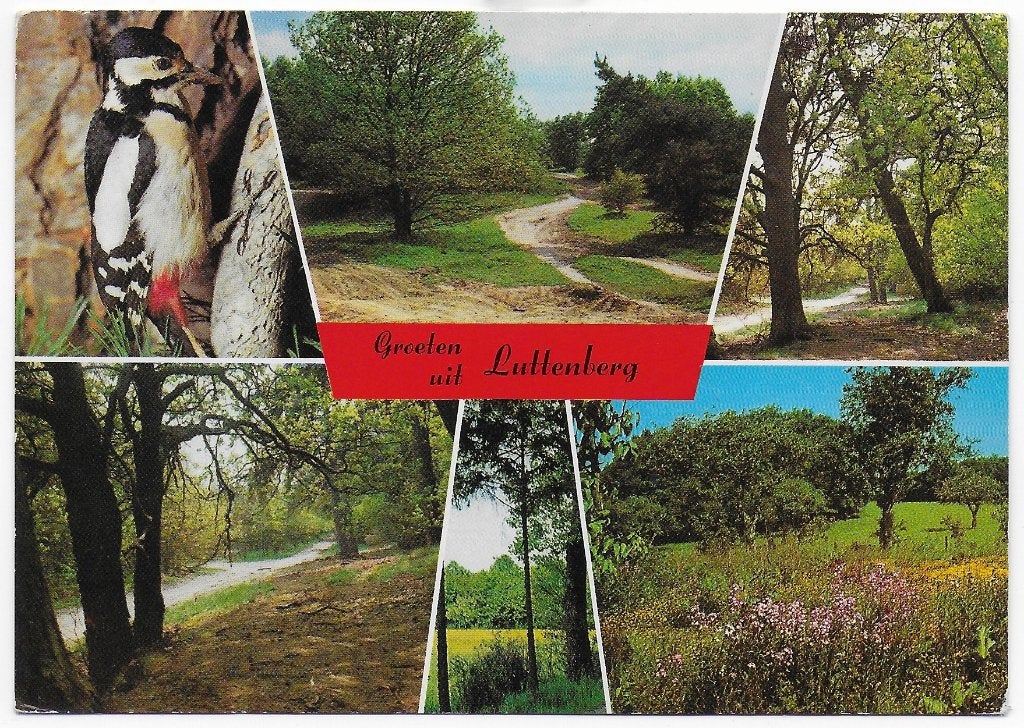 Luttenberg Gelopen Ansichtkaart ( B5995), Ophalen of Verzenden, 1980 tot heden, Gelopen