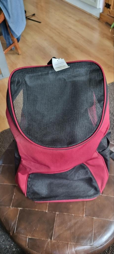 Draagrugtas voor kat of mini hond, Ophalen of Verzenden, Nieuw