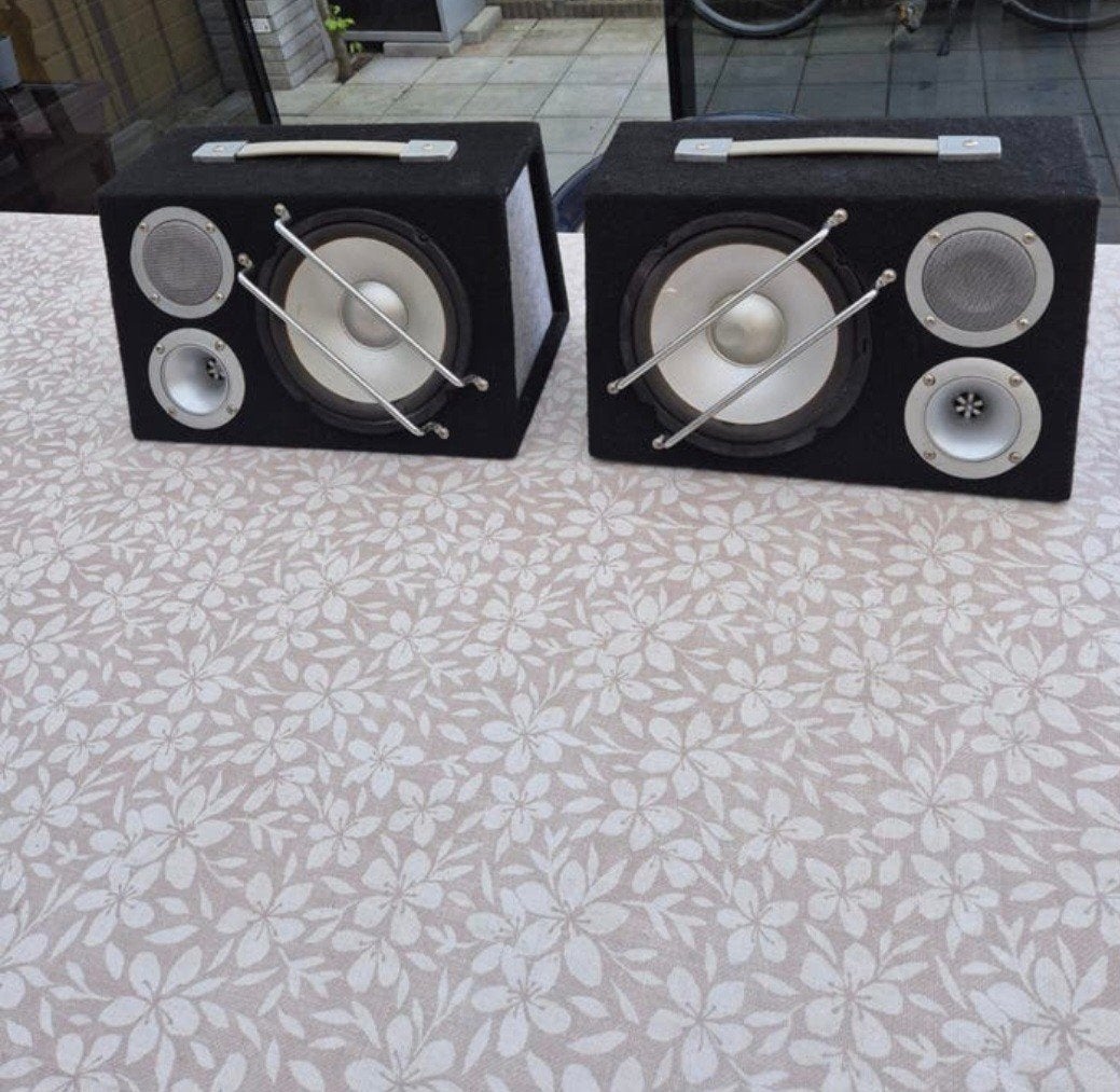 Twee Subwoofer Voor Auto, Ophalen of Verzenden