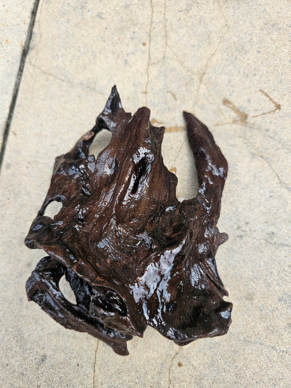 Driftwood, Ophalen, Gebruikt, Decoratie