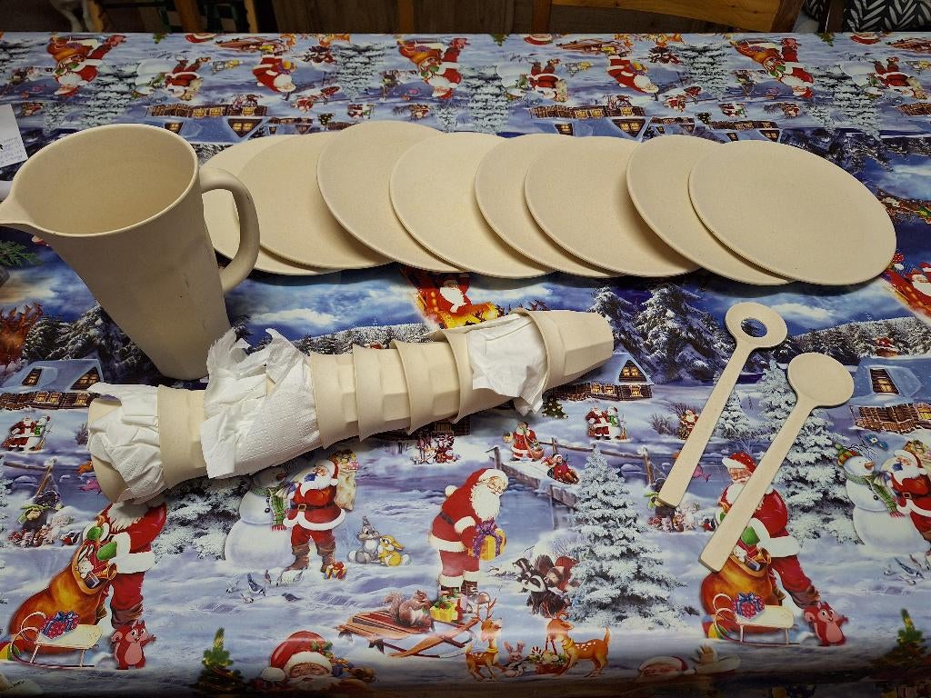 servies van bamboe, Overige materialen, Nieuw, Ophalen of Verzenden, Overige stijlen