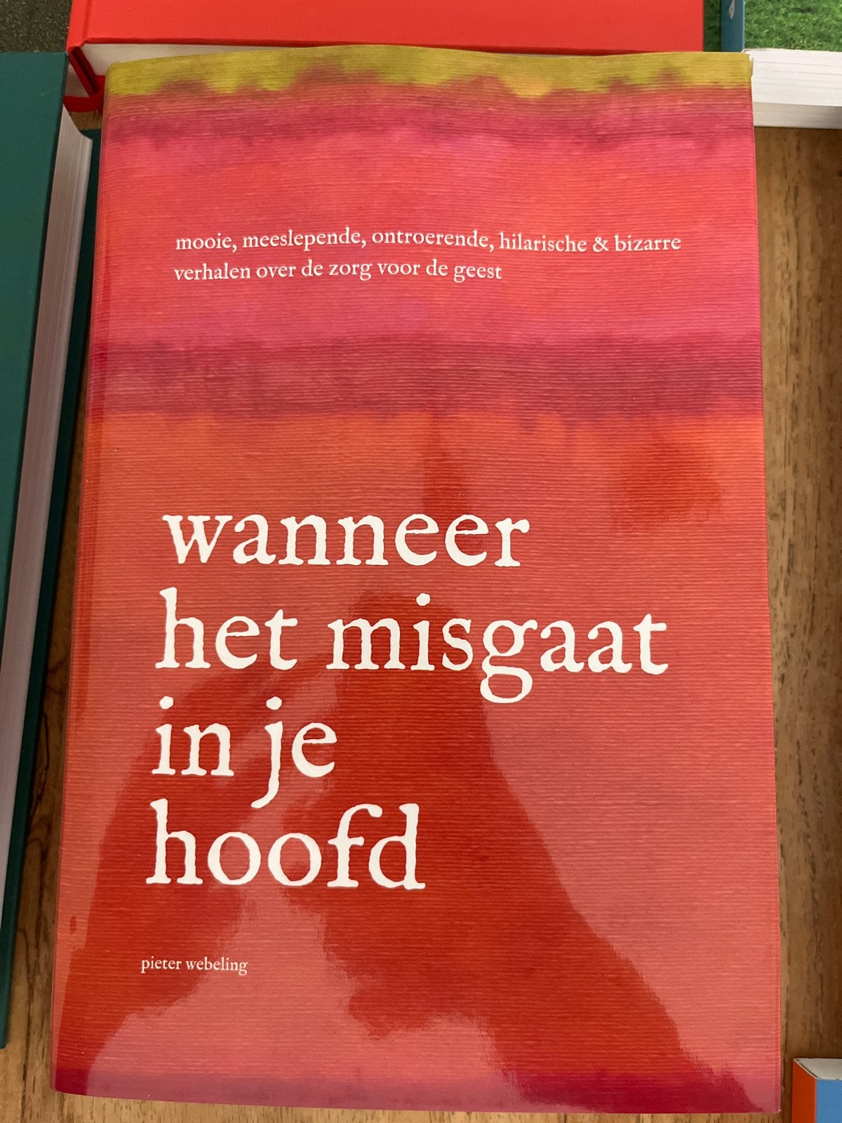 Wanneer het misgaat in je hoofd - Pieter Webeling, Boeken, Ophalen of Verzenden, Gelezen, Klinische psychologie