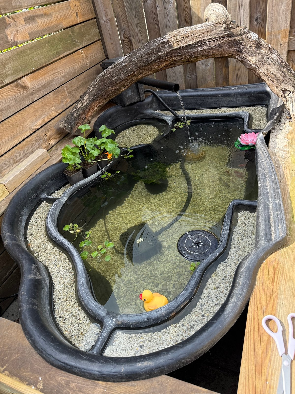 Vijverbak 750L incl toebehoren, Tuin en Terras, Ophalen, Gebruikt