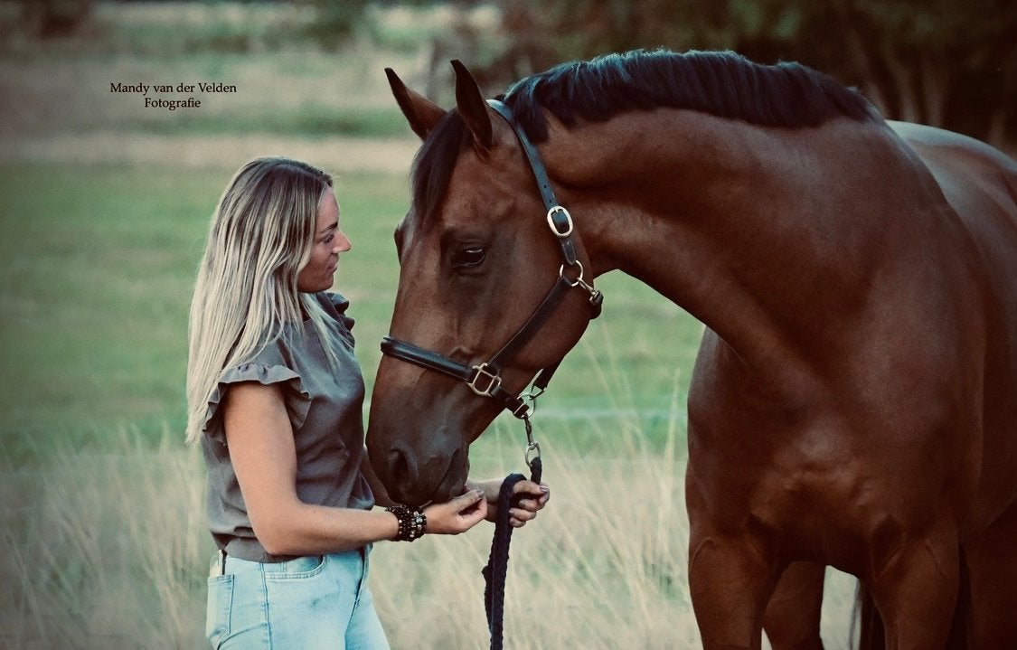 Recreatie paard/ weide maatje/ therapie paard🤍, Met stamboom, Ruin, 170 tot 175 cm, L