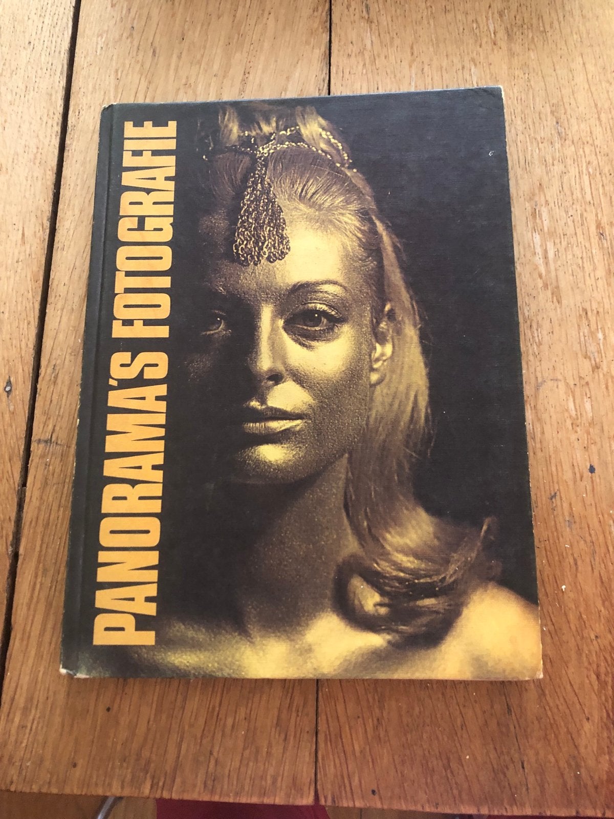 Panorama's Fotografie - Vintage Fotoboek, Ophalen of Verzenden, Gelezen, Fotografie algemeen