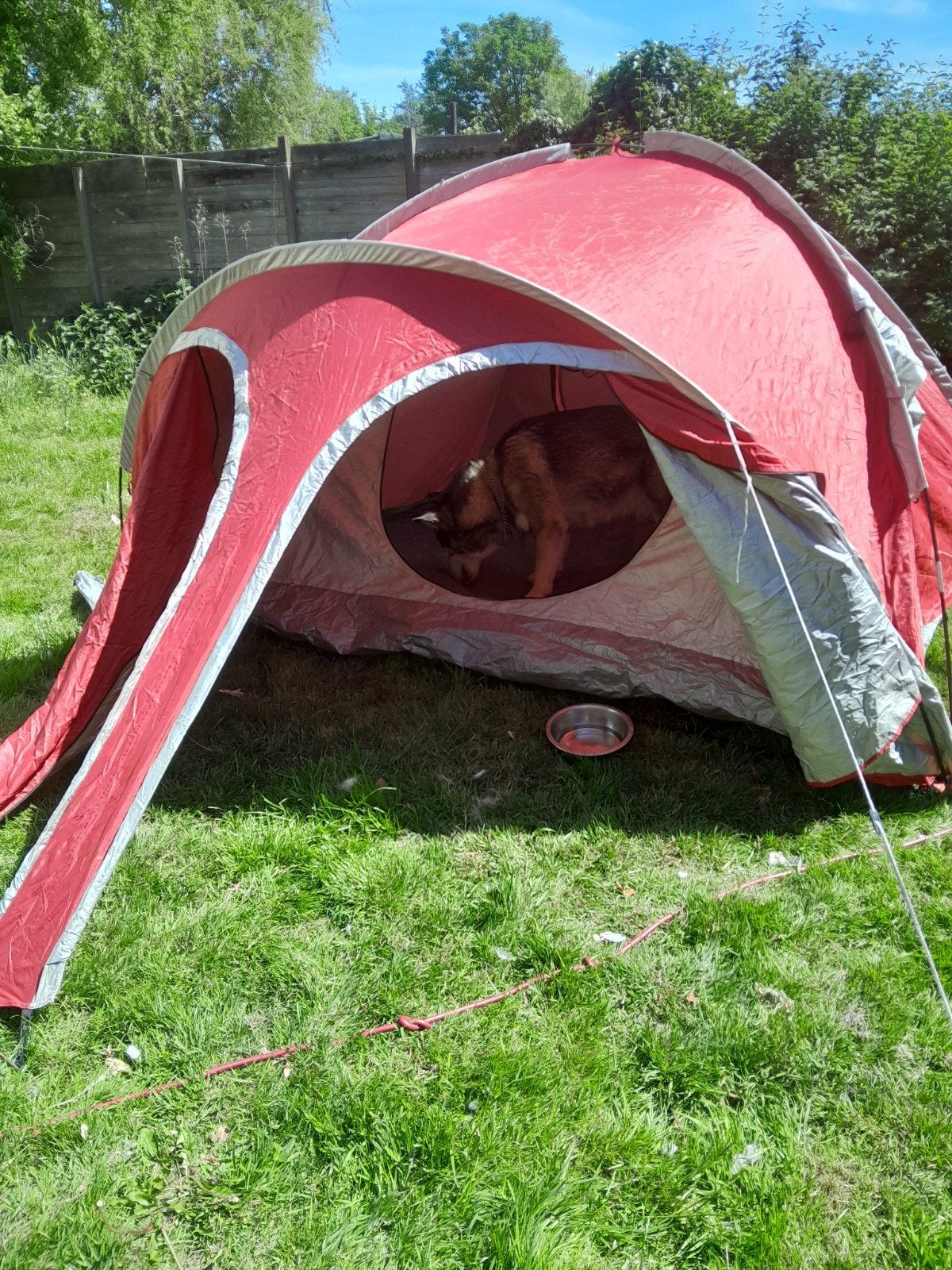 Mooie lichtgewicht 3-persoons iglo tent, Ophalen of Verzenden
