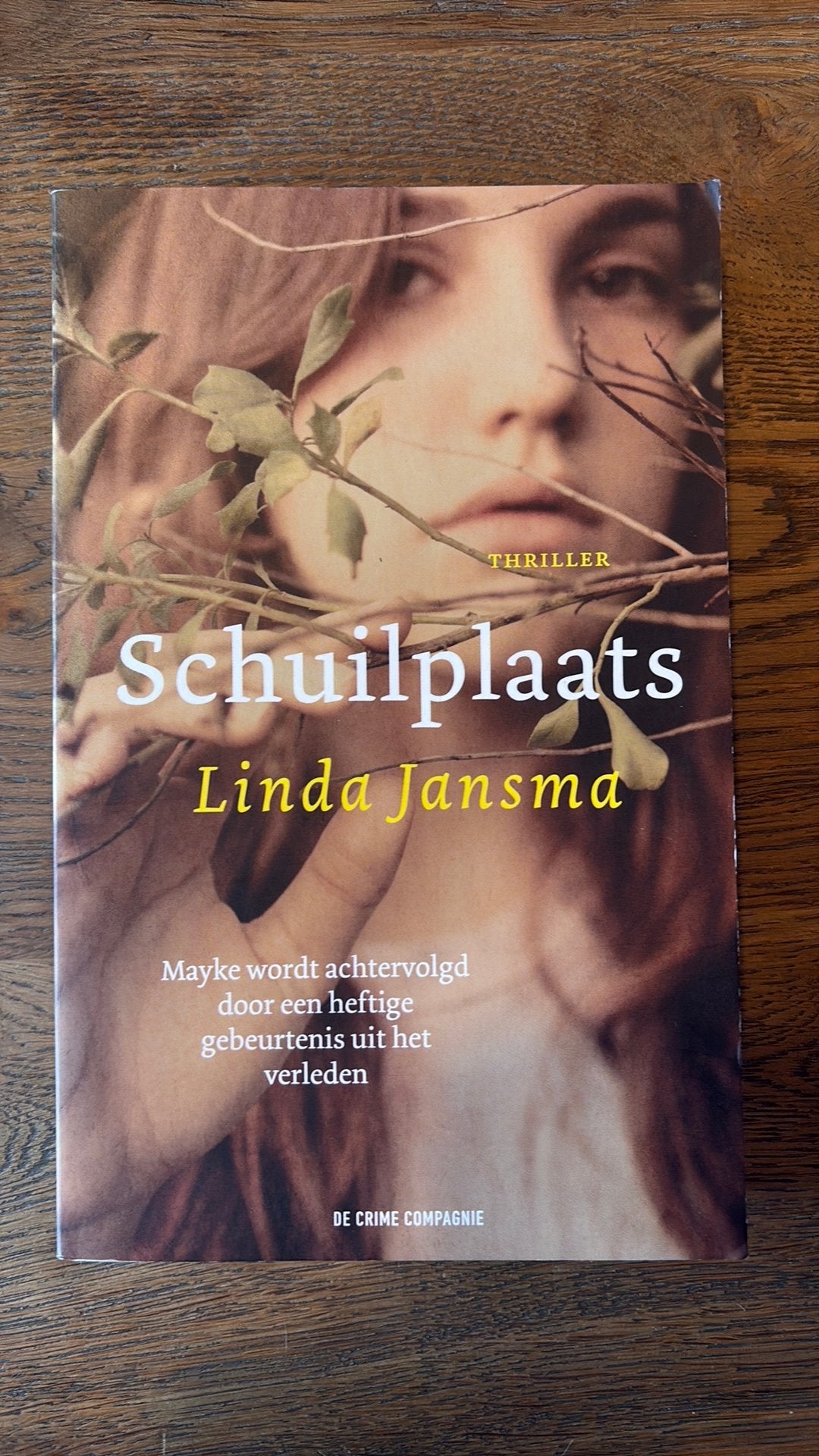 Linda Jansma - Schuilplaats, Ophalen of Verzenden, Zo goed als nieuw, Linda Jansma