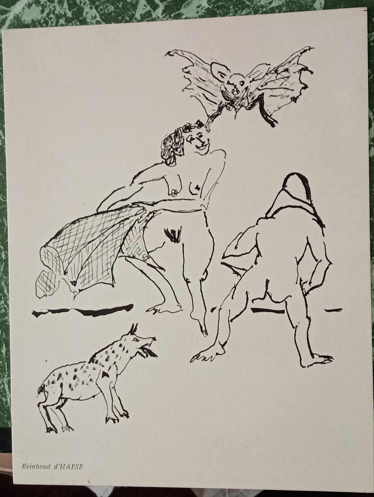 Reinhoud d'Haese Lithografie, Ophalen of Verzenden