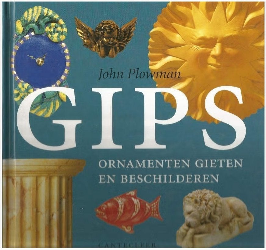 Gips - John Plowman, Marjan Faddegon-Doets, Ophalen of Verzenden, Zo goed als nieuw, Overige onderwerpen