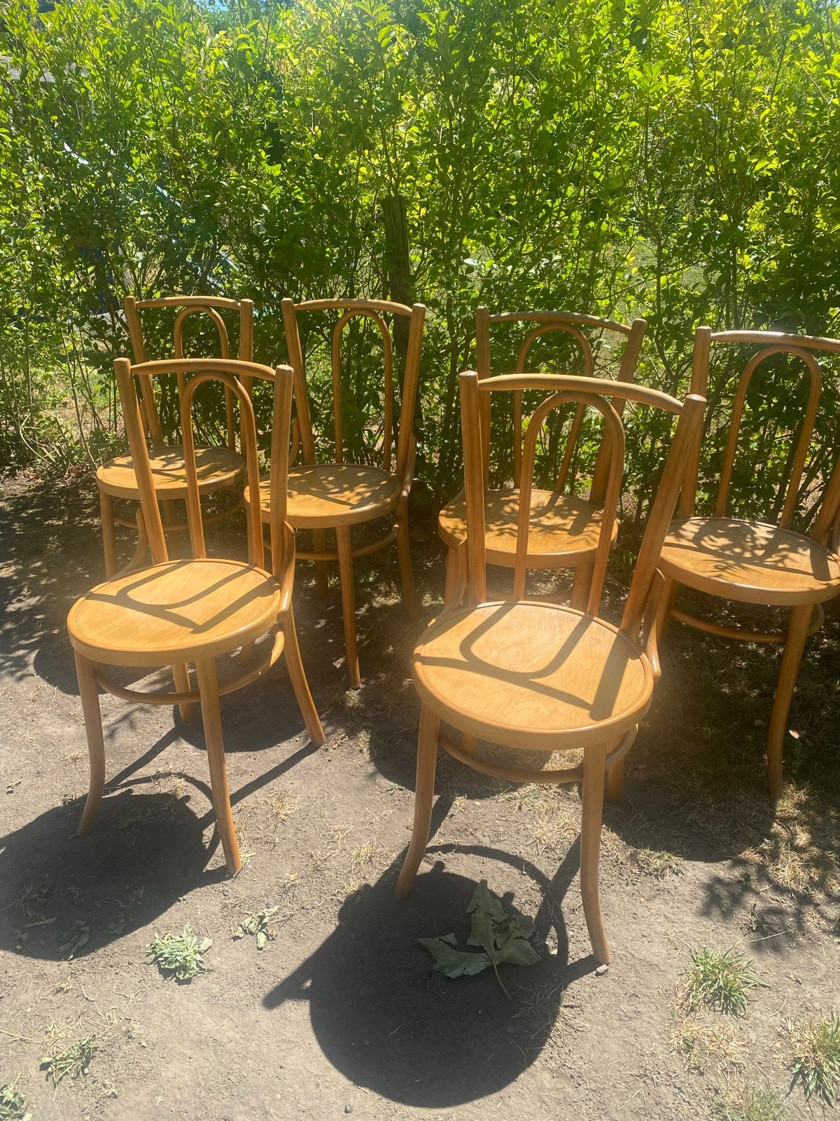 Thonet stijl bistro stoelen - 6 stuks (één incompleet), Ophalen