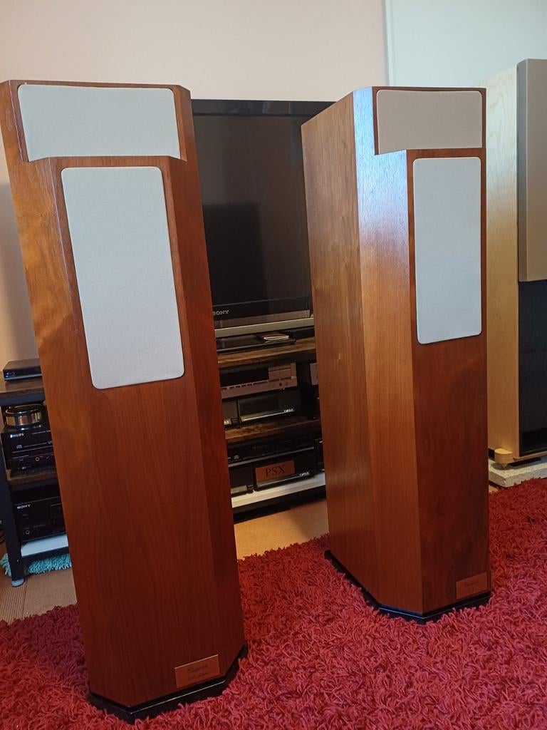 ZEER ZELDZAME ELIPSON 1303 "JUBILEE" UITVOERING!, Ophalen of Verzenden, Minder dan 60 watt, Front, Rear of Stereo speakers, Overige merken