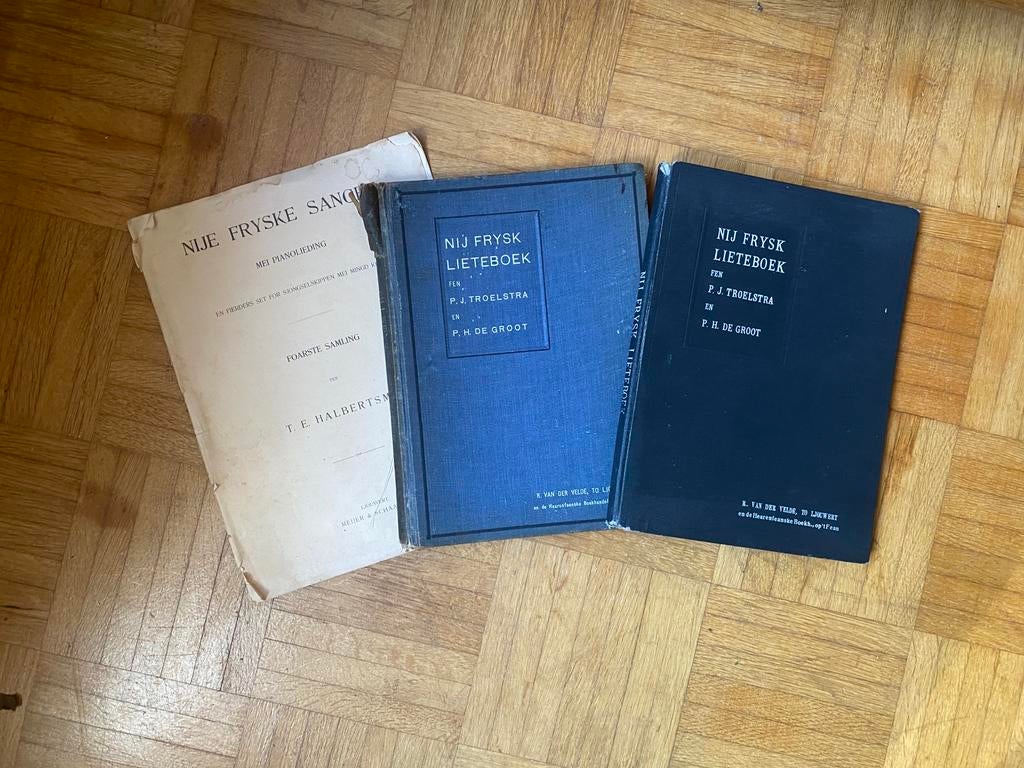 Friese liederen boeken + woordenboek & H Heine!!, Muziek en Instrumenten, Ophalen of Verzenden, Les of Cursus, Klassiek