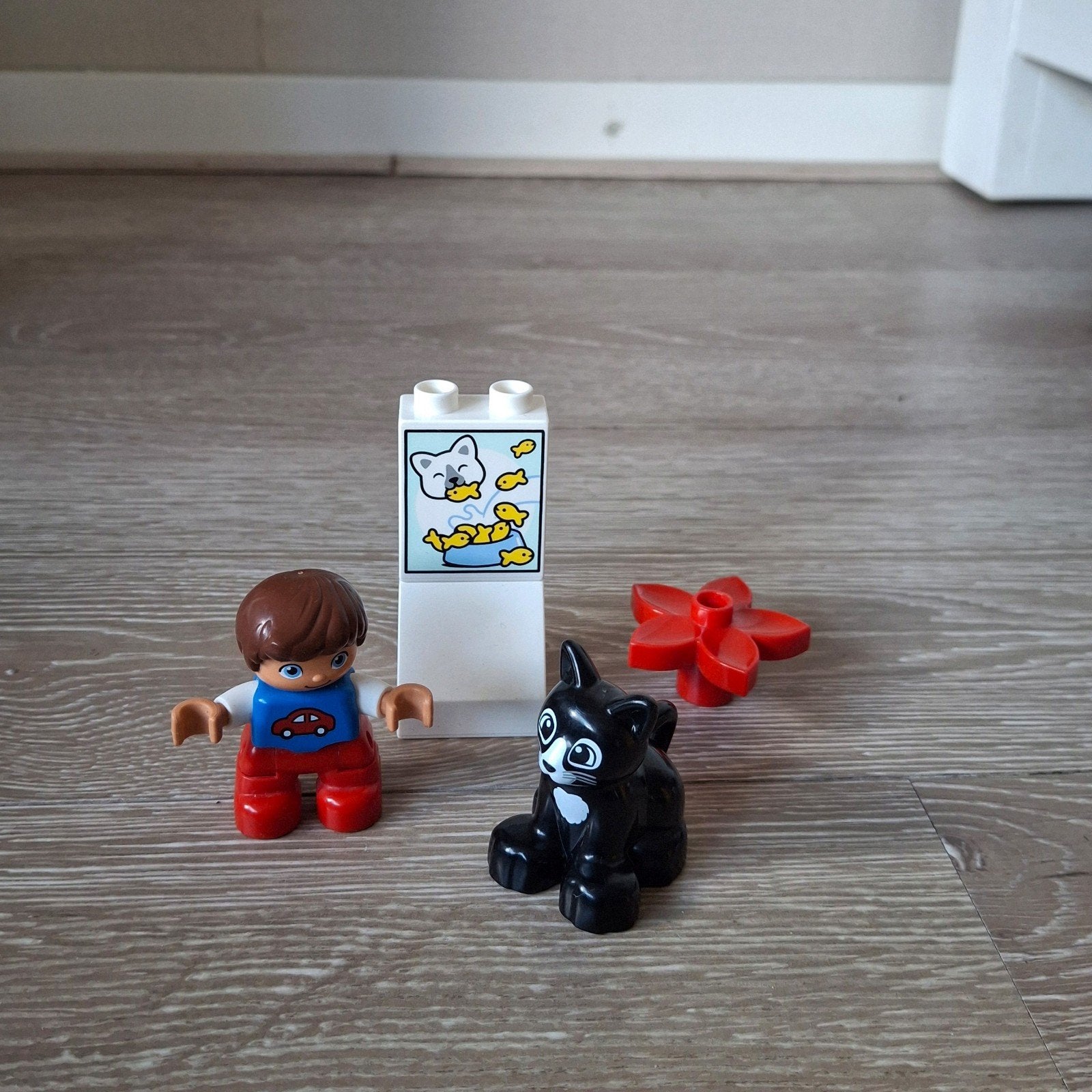 Jongen met poes, Ophalen of Verzenden, Zo goed als nieuw, Duplo