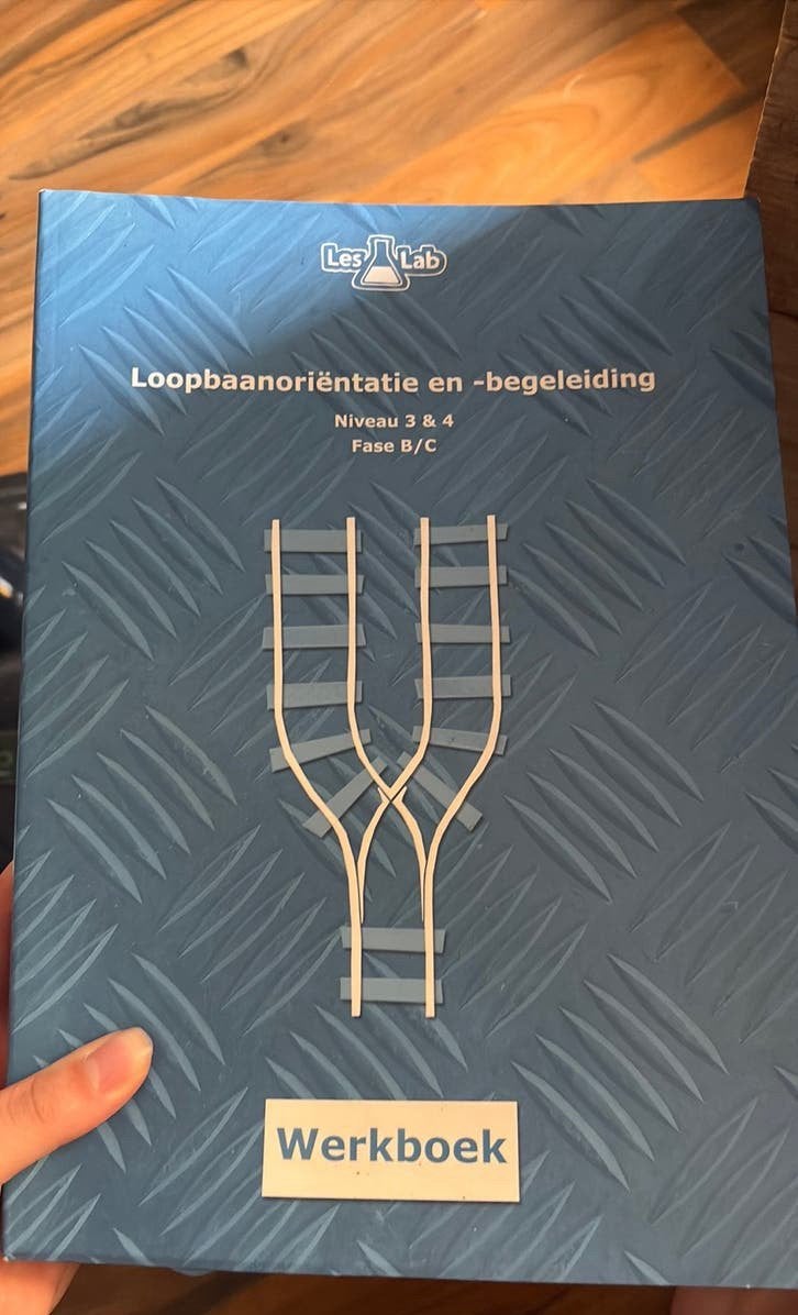 LOB werkboek, mbo Amersfoort (handhaving en toezicht), Ophalen of Verzenden, Nederlands, Overige niveaus, Bart Dekker; Rogier van Essen