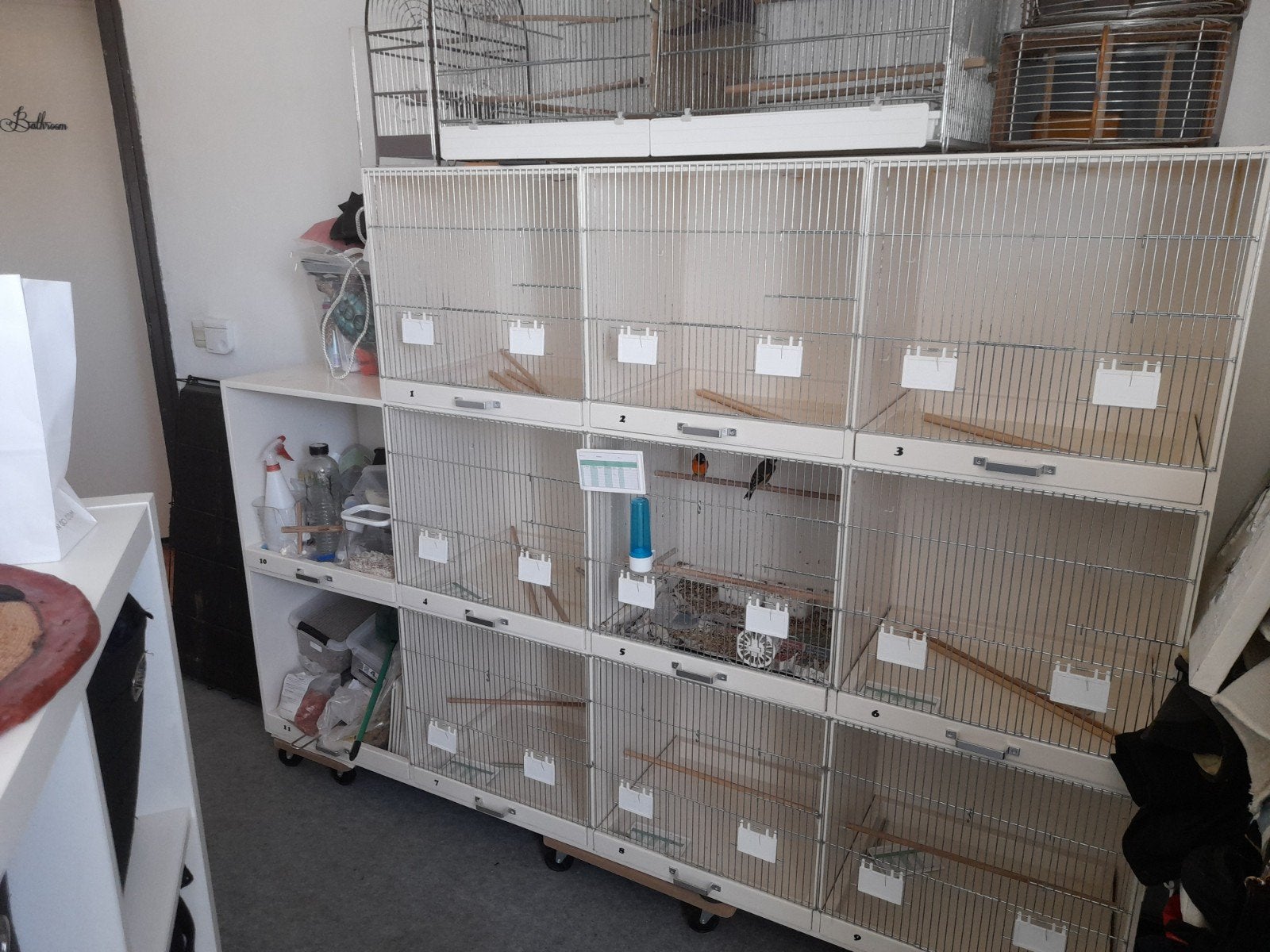 Mooie broedkast met led aansluiting, Ophalen