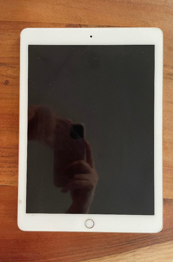 Apple iPad Pro 9,7 inch (1e generatie), Computers en Software, Rose Goud, Gebruikt, 32 GB, Apple iPad