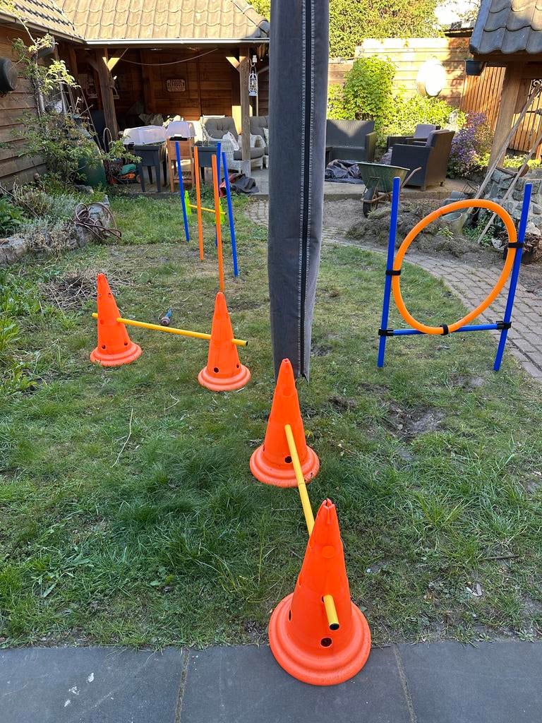 4-delige agility set voor honden, Ophalen, Zo goed als nieuw