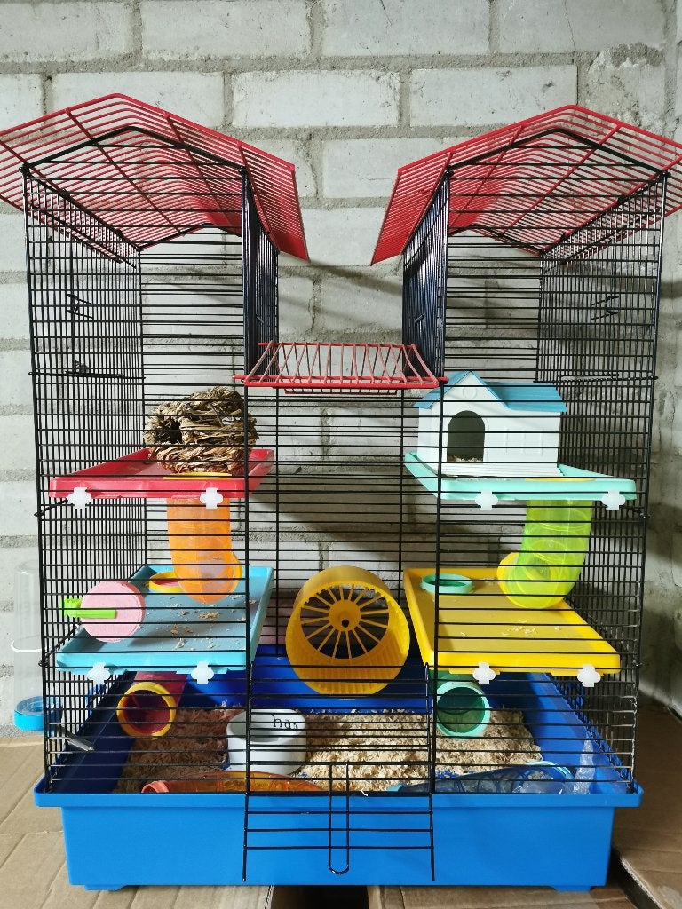 Hamsterkooi 2 verdiepingen, Dieren en Toebehoren, Ophalen, Kooi, Gebruikt, 60 tot 90 cm