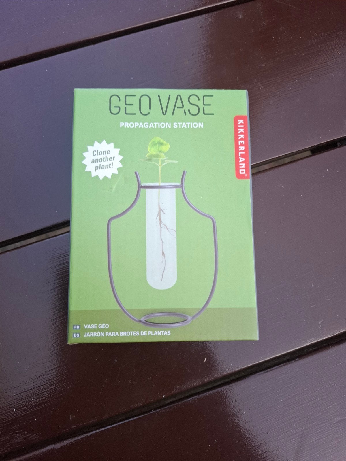 Kikkerland Geo Vase - Propagatie Station voor Planten, Minder dan 30 cm, Minder dan 60 cm, Nieuw, Ophalen of Verzenden