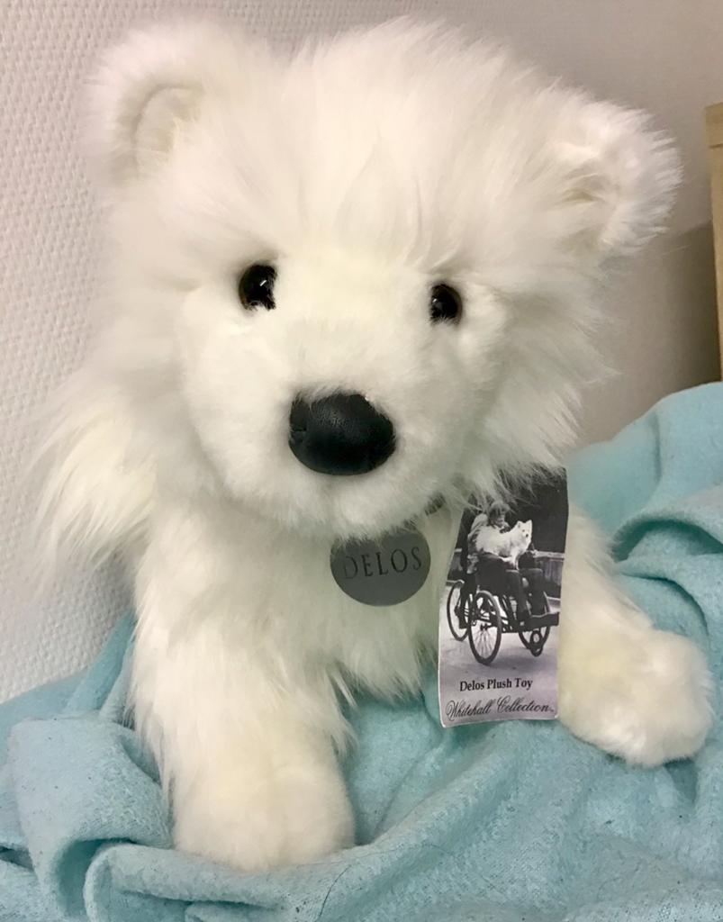 nwt Douglas Cuddle Toys Sammy Samoyed Delos ( ruil ), Kinderen en Baby's, Speelgoed | Knuffels en Pluche, Nieuw, Hond, Overige merken