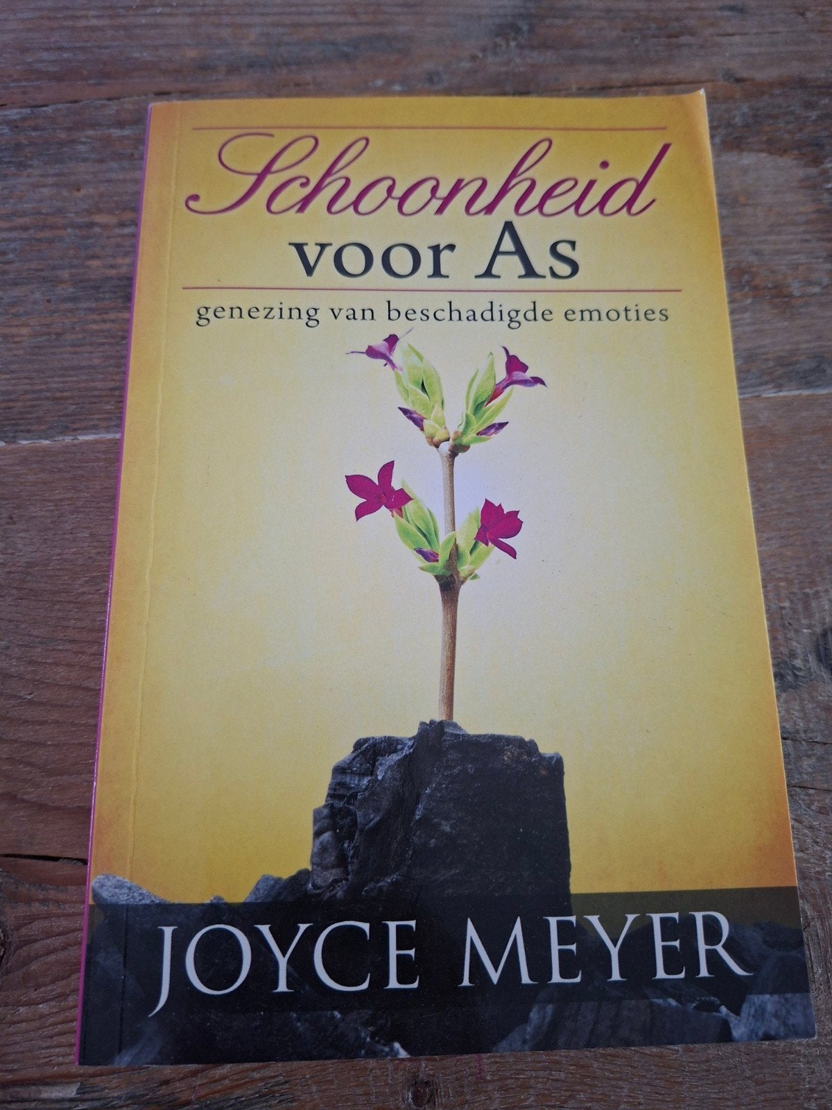 Schoonheid voor As - Joyce Meyer (Gelezen), Boeken, Ophalen of Verzenden, Gelezen, Joyce Meyer, Christendom | Protestants