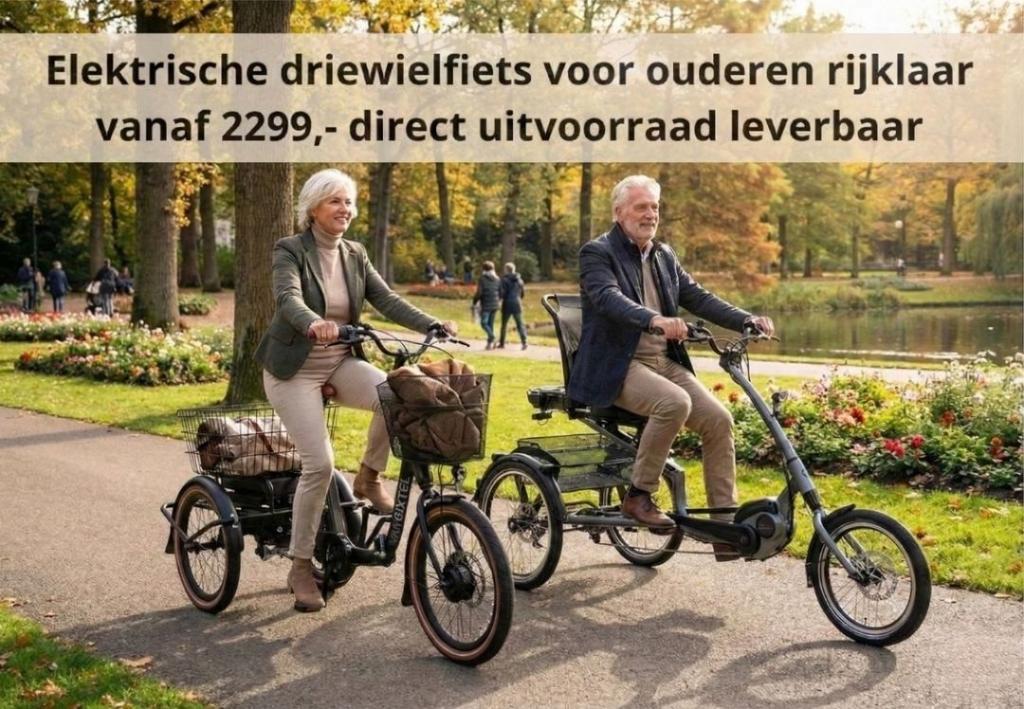 Elektrische driewieler driewielfiets senioren balansfiets