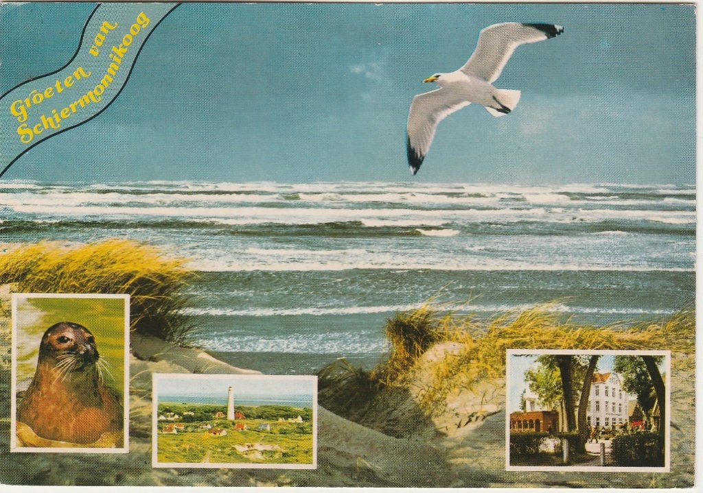 SCHIERMONNIKOOG Branding Zeehond Hotel Groeten, Verzenden, 1980 tot heden, Gelopen, Waddeneilanden