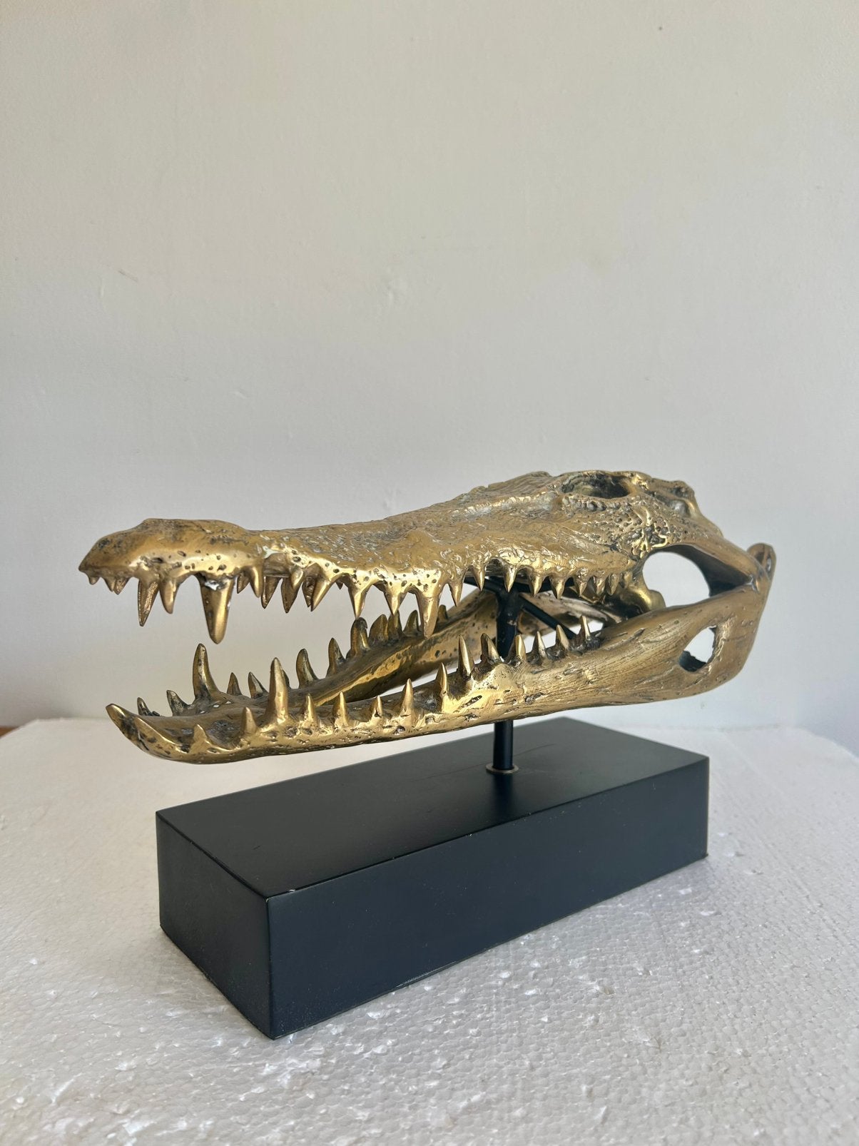 Prachtige grote bronzen Schedel van een Zoutwater krokodil, Ophalen of Verzenden, Zo goed als nieuw, Schedel