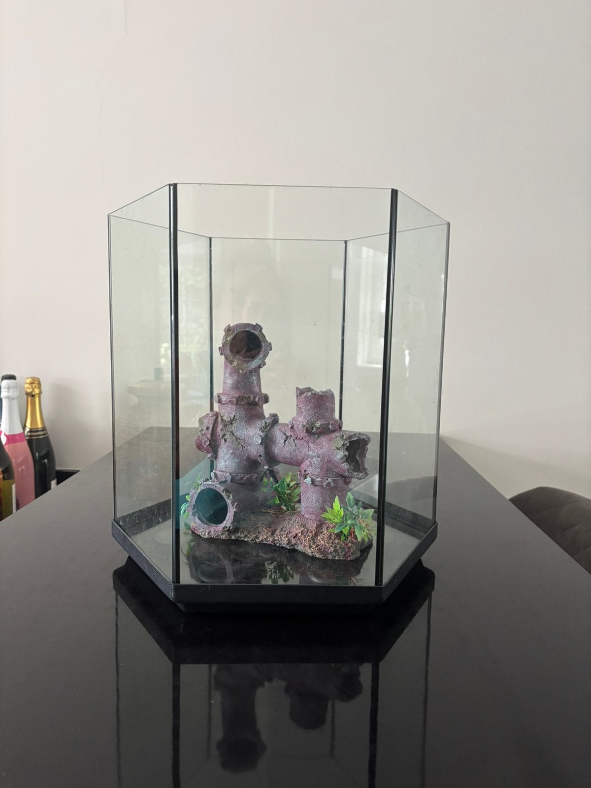 Vissenkom zwart groot, Ophalen of Verzenden, Zo goed als nieuw, Leeg aquarium