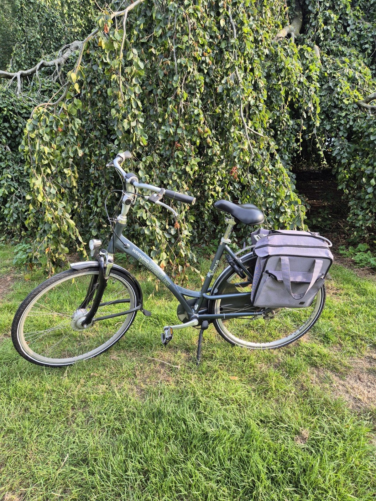 Batavus Weekend Damesfiets met Fietstassen, Fietsen en Brommers, Ophalen, Versnellingen, Batavus, Trommelrem