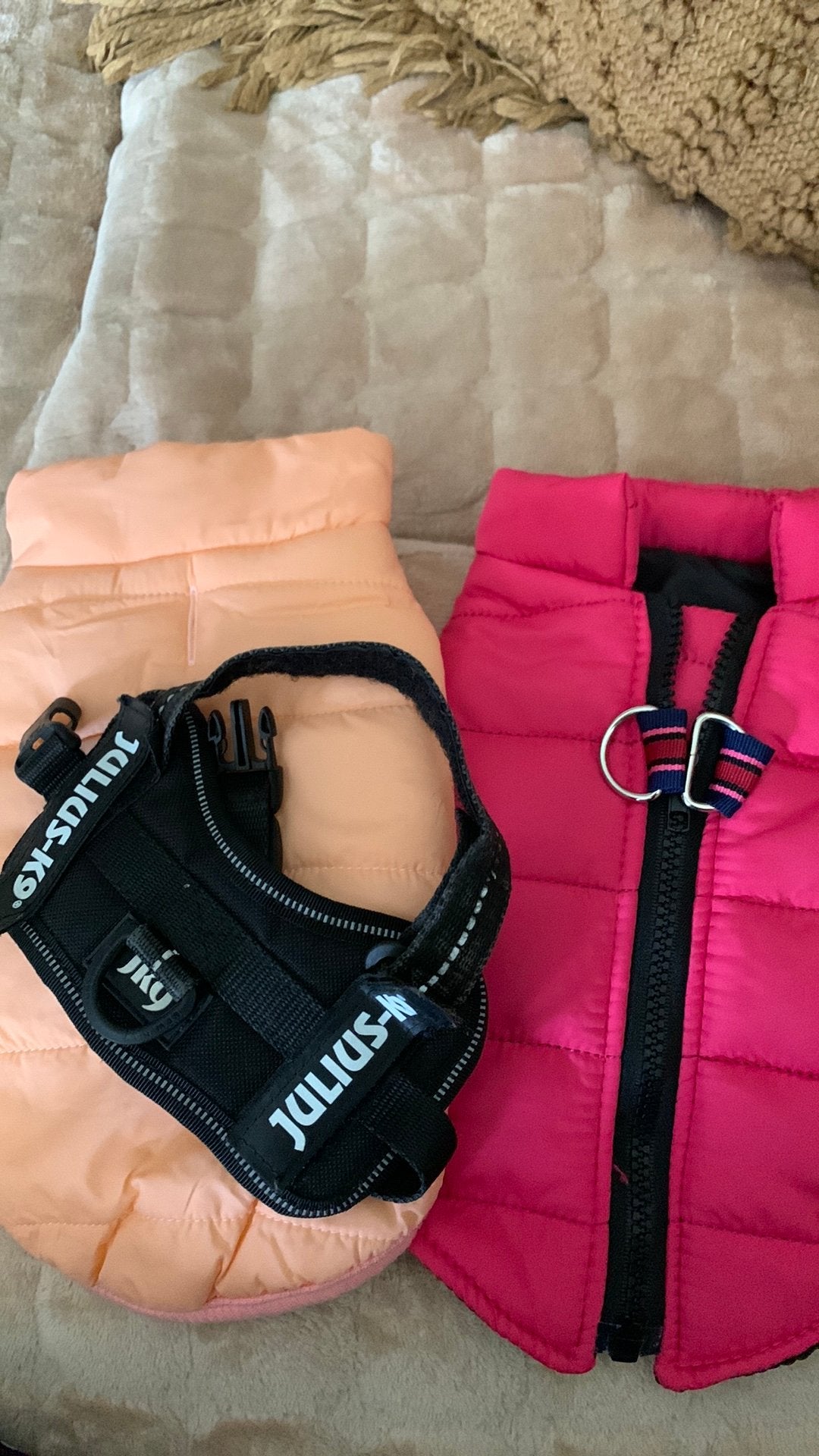Klein hondje tuigje zwart ,jasjes zalm xs en fuchsia s, Ophalen of Verzenden, Zo goed als nieuw