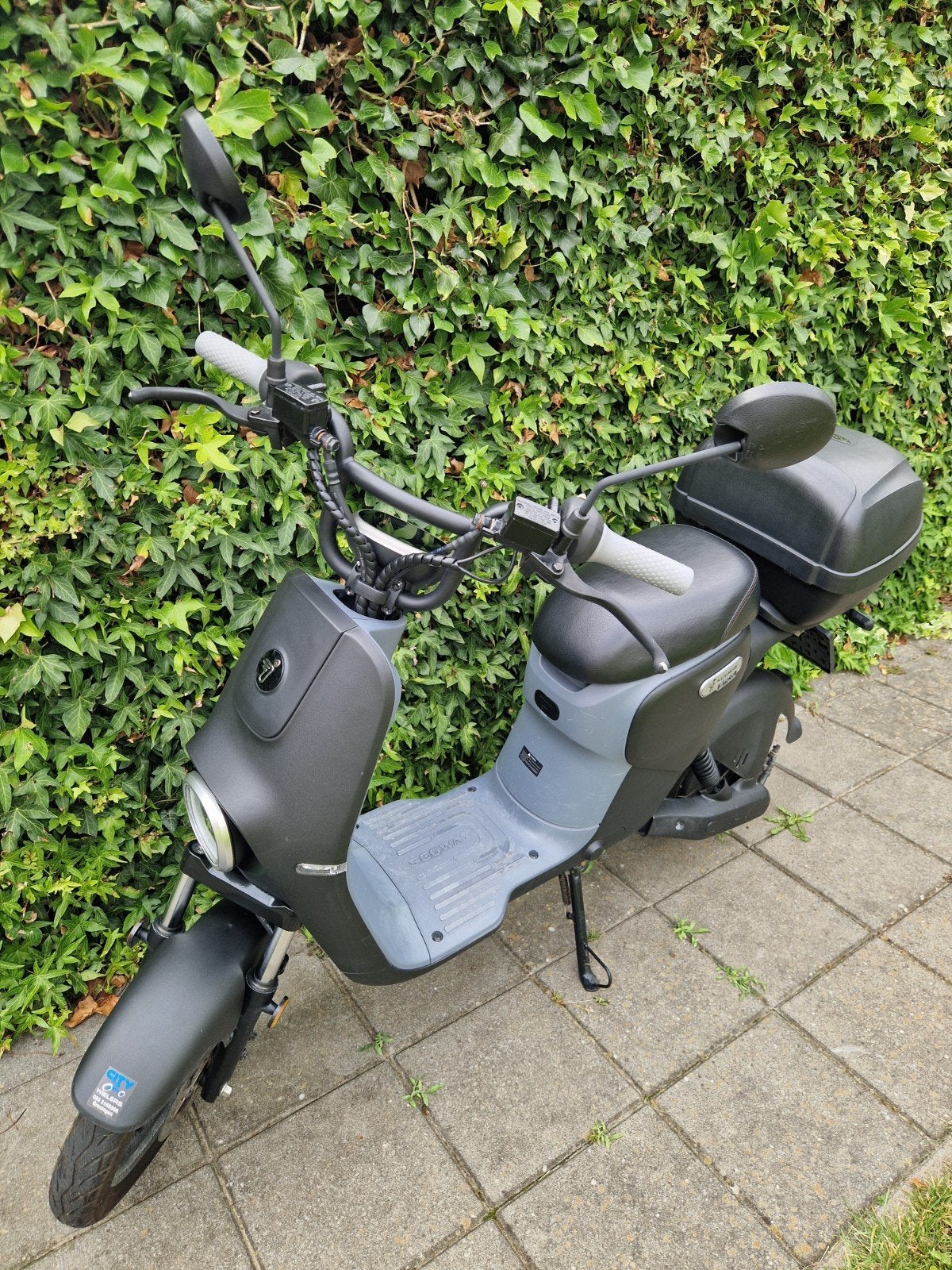 Segway eMoped B110S - Elektrische Scooter met Topkoffer, Overige merken, Gebruikt, Elektrisch, Ophalen of Verzenden