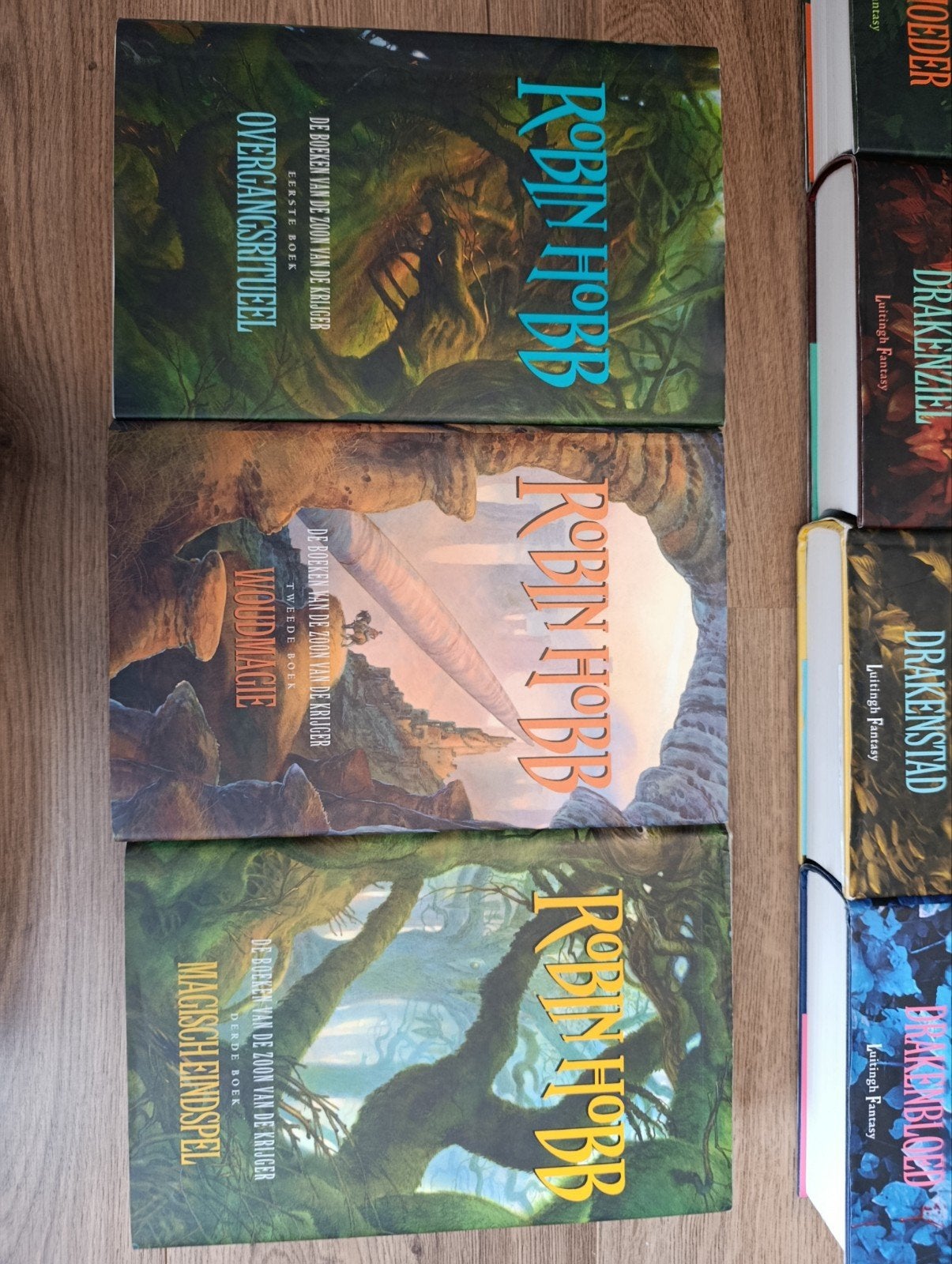 Robin Hobb boeken - Diverse series ( 4 boeken), Boeken, Ophalen of Verzenden, Zo goed als nieuw, Robin Hobb