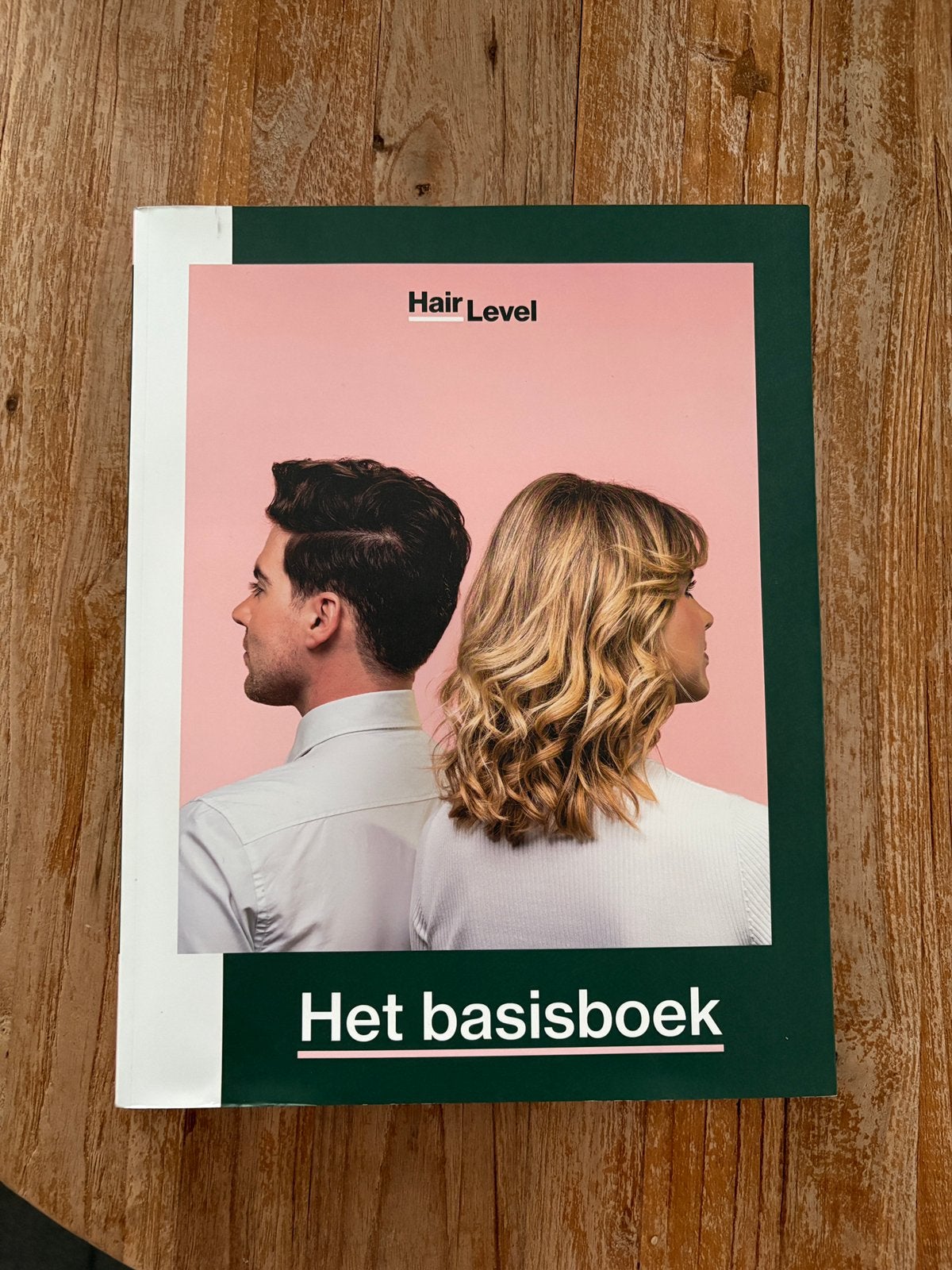 Hairlevel het basisboek, Ophalen of Verzenden, Beta, Zo goed als nieuw, MBO