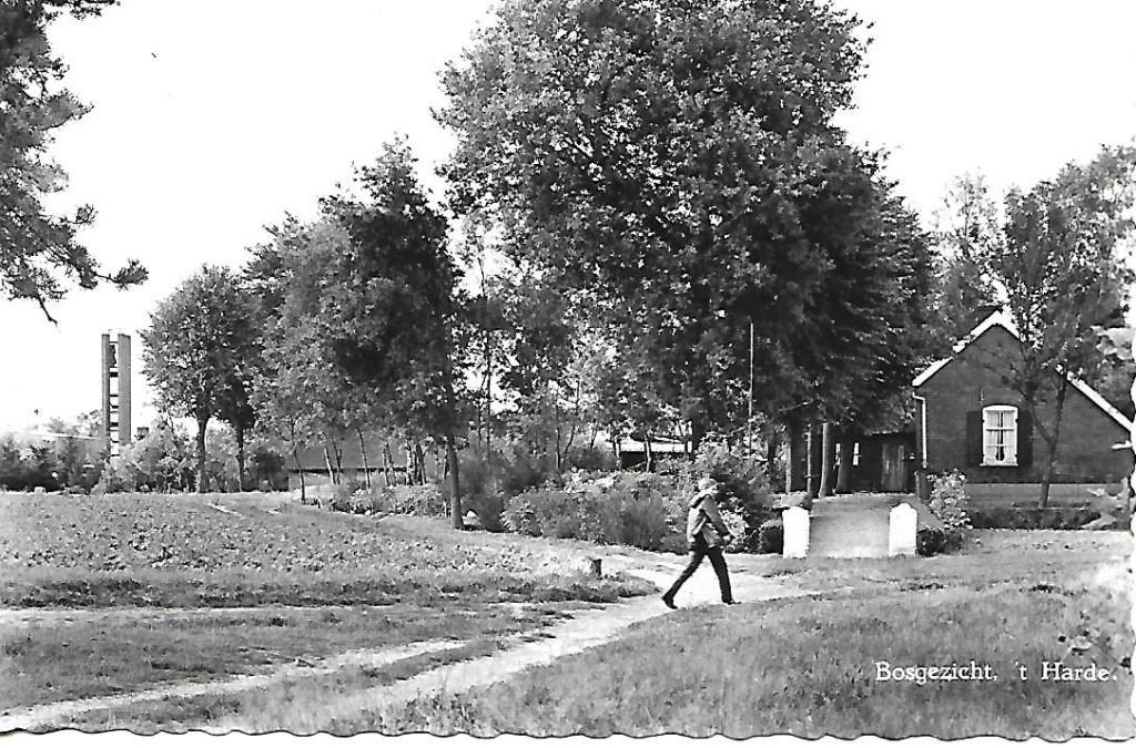 't Harde- -Bosgezicht., Verzenden, 1960 tot 1980, Ongelopen, Gelderland